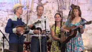 The FOGHORN STRINGBAND quotGo Homequot Westport Folk amp Bluegrass Festival 2016 [upl. by Assennej]