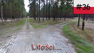 Jak ja mam to znaleźć XDD 🌳🍄  Geoguessr speedrun w Polsce 36 🇵🇱🗺️ [upl. by Noreik]