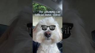 The getaway car Taylor Swift official music video🐕🐕🐕 [upl. by Liscomb]