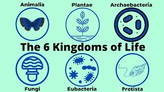 Basic Taxonomy6 Kingdoms of LifeClassification [upl. by Ayik623]