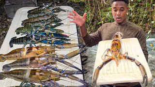 How To Catch Clean amp Cook Giant Crayfish [upl. by Ainez]