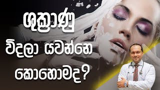 ශුක්‍රාණු විදලා යවන්නෙ කොහොමද  Dr Namal Wijesinghe [upl. by Neukam293]