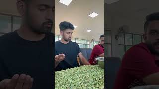 Cardamom auction kerala spices uae india inspiration [upl. by Naldo]