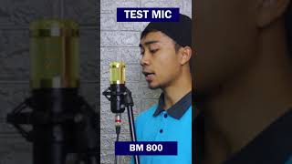 Test Mic BM 800 [upl. by Oynotna]