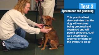 AKC Canine Good Citizen Tests 2 and 3 [upl. by Ennagroeg]