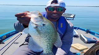 Accidentally stumbled on some big slab crappie [upl. by Jessica]