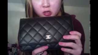 Chanel Wallet Collection [upl. by Eelaroc187]