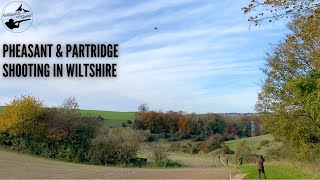 Pheasant amp Partridge Shooting  What a Day  Manor Farm Shoot in Wiltshire UK [upl. by Aronid]