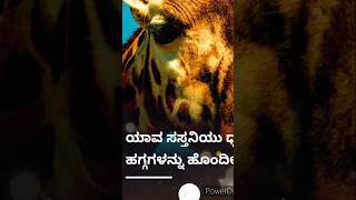 ಯಾವ ಸಸ್ತನಿಯು ಧ್ವನಿ ಹಗ್ಗಗಳನ್ನು ಹೊಂದಿಲ್ಲ which mammal does not have vocal [upl. by England237]