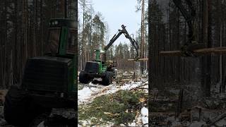 🔥Forwarder 1910e in Action johndeere logging machine [upl. by Celle]