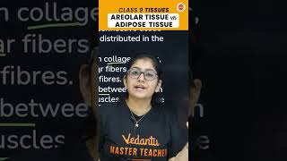 Understanding Areolar vs Adipose Tissue 🧐🔬 vedantu9class cbseclasses [upl. by Ertemed]