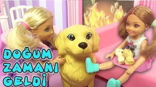 Barbie ve Ailesi Bölüm 158  Köpeğimiz Tuffy Doğum Yapıyor  Çizgi film tadında Barbie Oyunları [upl. by Eenal]