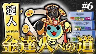 【達人配信6】本当に本当に今日で金枠赤合格する。【太鼓の達人ニジイロ Ver 段位道場2024 金達人への道】 [upl. by Ahsaf]