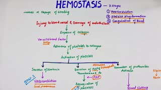 Hemostasis  Easy Flowchart  Physiology [upl. by Kelsey]