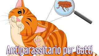 Antiparassitario per Gatti come scegliere senza sbagliare  Consulente Felino [upl. by Ybbed]