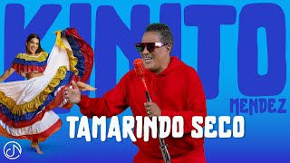 Tamarindo SECO 🪇 KINITOMENDEZOFFICIAL 🤩 Video Oficial [upl. by Rebbecca242]