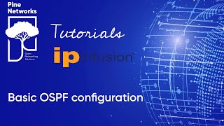 IP Infusion OcNOS Tutorial 5  Basic OSPF configuration [upl. by Bogey]