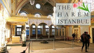 THE HAREM of the SULTANS in the TOPKAPI PALACE  ISTANBUL VLOG [upl. by Fonville]