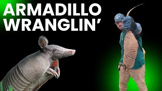 Armadillo Wranglin Armadillo Nuisance Trapping [upl. by Schmidt]