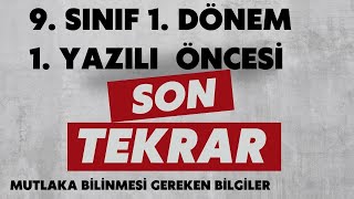 9 Sınıf Fizik 1 Dönem 1 Yazılı Öncesi SON TEKRAR [upl. by Aranaj]