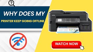 Why does My Printer Keep Going offline [upl. by Orenid544]