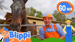 Horsing Around  Fun with Blippi  Blippi Educational Songs for Kids [upl. by Nuahc]