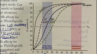 Oxygen dissociation curve made EASY Hindi  neetpg inicet firstaidusmle physiology [upl. by Hanselka]