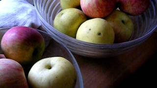 Apfel Kuchen Apple Kuchen  Cake  Very Easy [upl. by Loralie382]