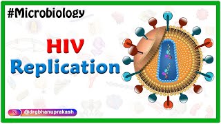 HIV Replication  Microbiology Medical Animations [upl. by Leahcam]