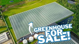 FOR SALE Venlo greenhouse 800 m 40752 m² [upl. by Ihsoyim343]