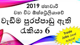 ඕස්ට්‍රේලියාවේ වැඩිම පුරප්පාඩු ඇති රැකියා 6  Occupation ceiling Jan 2019 update [upl. by Eirahcaz550]