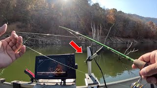 How To Catch CRAPPIE On Brush Piles With A Minnow And Bobber  Crappie Fishing Made Easy [upl. by Heuser]