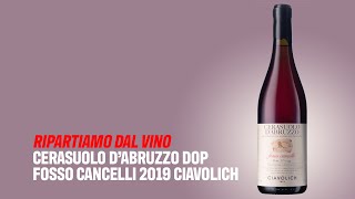 Ripartiamo dal vino Cerasuolo d’Abruzzo Dop Fosso Cancelli 2019 Ciavolich [upl. by Iarised124]