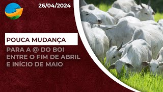 Mercado do boi caminha para iniciar o mês de maio com a mesma cotação da arroba que começou abril [upl. by Anelhtak641]