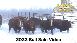 2023 MC Quantock Bull Sale Preview  Full Length [upl. by Wanfried]