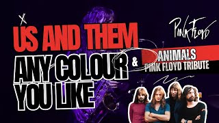 ANIMALS Pink Floyd Tribute  Us and Them  Any Colour You Like Live [upl. by Allene]