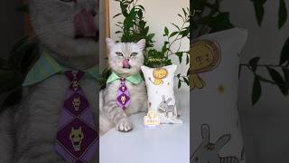 How To DIY A Silk Pillow As Soft As A Cloud😊☁️🌟 catsofyoutube catvideo tiktok [upl. by Alvina]