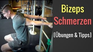 Schmerzen in der Bizepssehne unterer Teil  Schmerzen bei BizepsCurls │Mischa Kotlyar [upl. by Ayalahs]