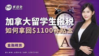 加拿大留学生报税问题都在这里  留学生如何拿到1100补贴金？报税后的退税方式有哪些？ [upl. by Nyleve]