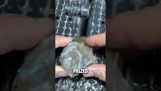 This is one of the BEST agates in the world agatedad agate shorts [upl. by Terriss]