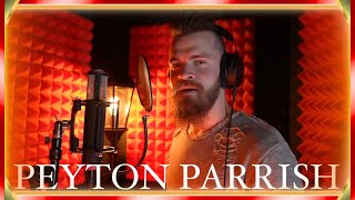 Miracle of Sound  Valhalla Calling  Live One Take  Peyton Parrish Cover [upl. by Eiral]