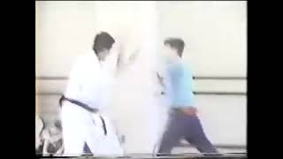 Kyokushin Karate vs Taikiken part3  Style vs Style Challenge part3 [upl. by Ario]