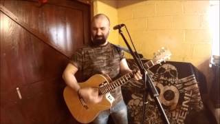 The Shanetrain  Spanish Train Chris DeBurgh Cover [upl. by Prue964]