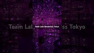 Teamlabs Borderless Tokyo [upl. by Ymmas]