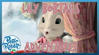 OfficialPeterRabbit  🌍🐰 Lily Bobtails Adventures 🐰🌍  20 MINS  Cartoons for Kids [upl. by Scurlock529]