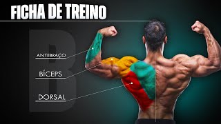 Montando um TREINO B de COSTAS BÍCEPS E ANTEBRAÇO com TODOS EXERCÍCIOS e Nº DE SÉRIES [upl. by Yetta]