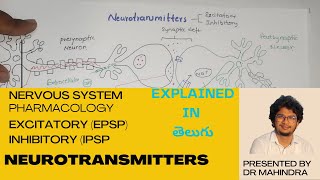 Neurotransmitters  Nervous system  Pharmacology [upl. by Laefar]