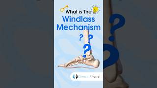 Windlass Mechanism physicaltherapy physiotherapy [upl. by Liebman]