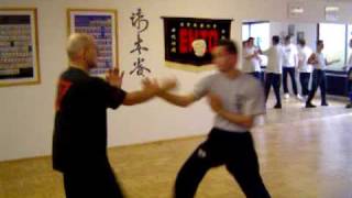 Wing Tsun EWTO [upl. by Eizzil]