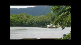 Daintree River Ferry Crossing [upl. by Derej268]